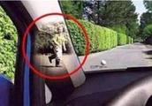 What do you know car blind area has? After be clear about, drive safer, avoid to produce an accident