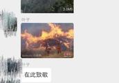 Much person of Sichuan of hero of the fire fighting in abuse wood is hit to handle by police