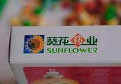 Fact of sunflower drug industry accuses a person t