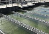 Invest 646 million yuan, shanghai seaside sewage t
