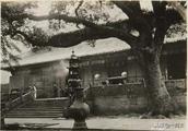 The Buddhism clean ground that old photograph ｜ had
