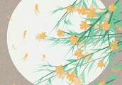 дƵʮʫ(һҪ)!!!