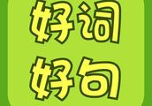 以“我是”开头写二十个句子