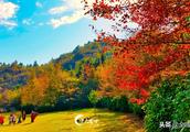 Admire autumn differ person! Gong Feng map collect