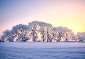 形容高楼看下雪的诗句