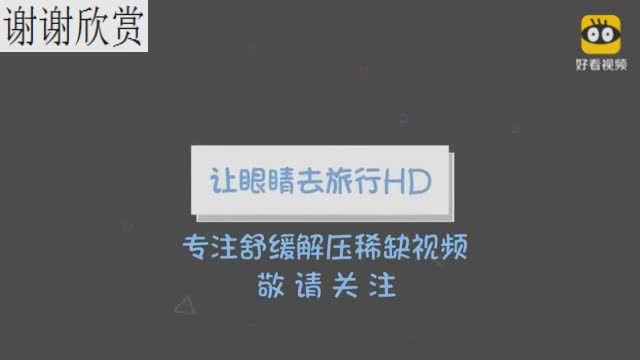 《亡灵序曲》真正的现场版,台下的呐喊声都已经淹没了音乐声!西瓜视频