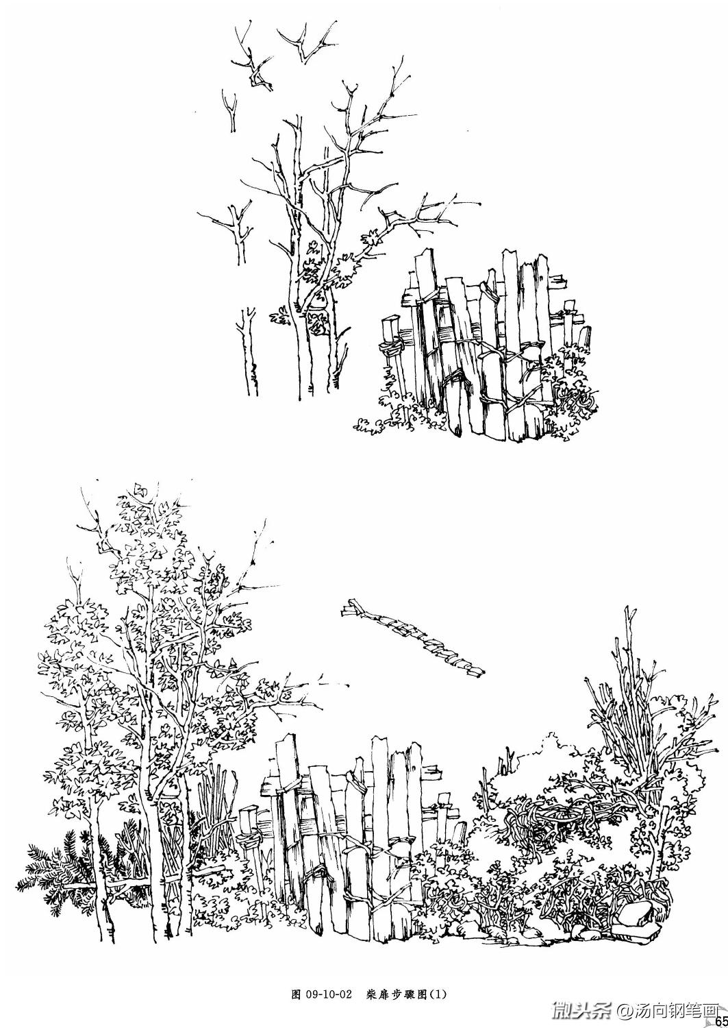 零基础学钢笔画风景速写入门教程