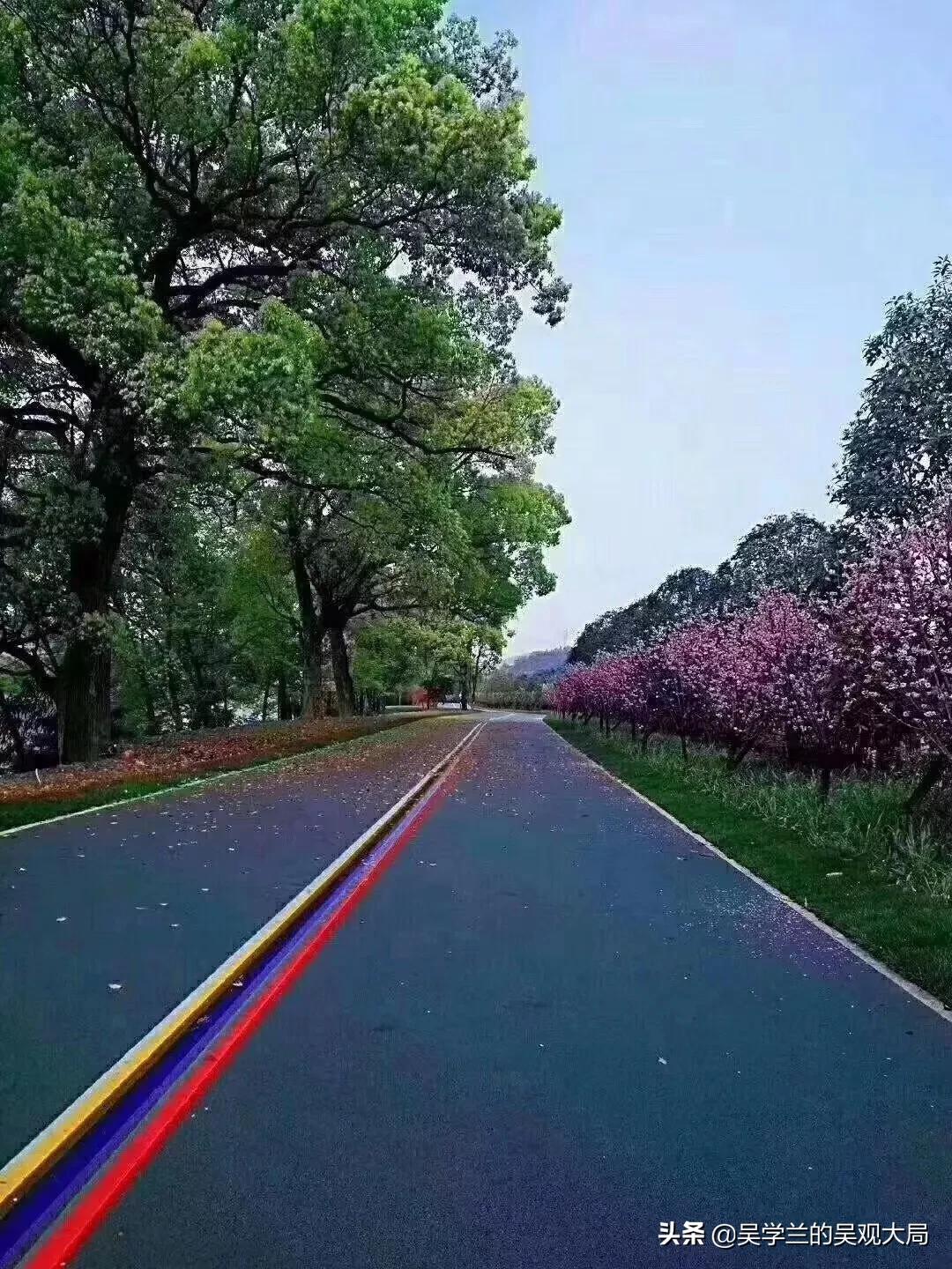 #丽水超级马拉松# 今天上午,我在丽水超 - 今日