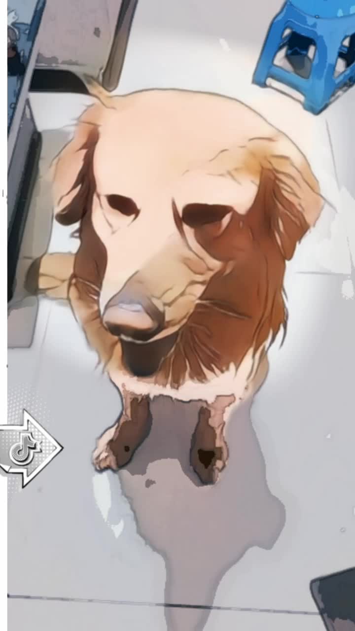 拖屏变身 这样的狗在漫画,动漫里都是反派角色,真丑