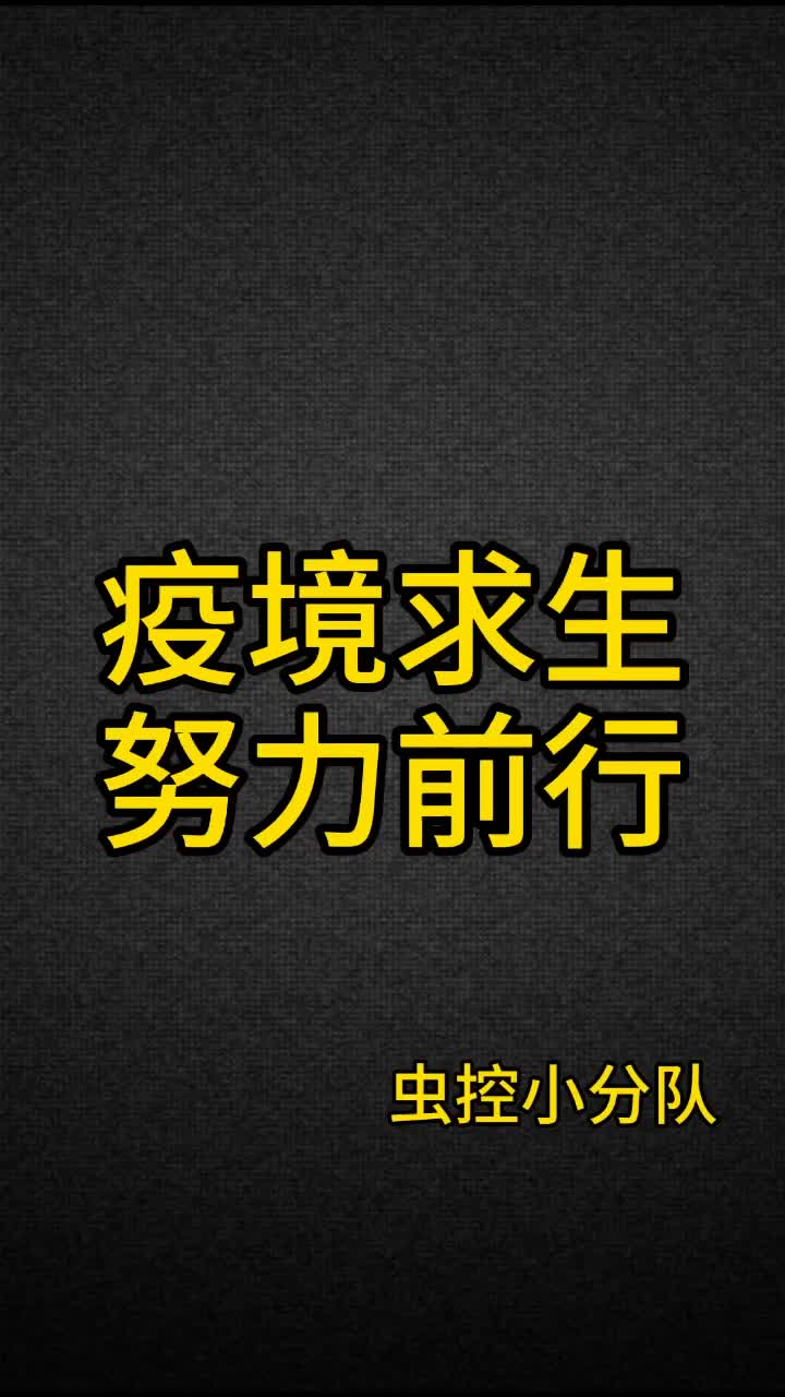 疫情过后 努力前行 组建虫控小分队从低做起 为同样在广州打拼的你