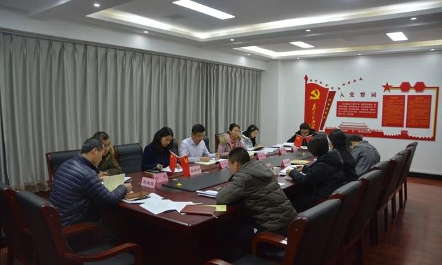 对支部班子意见建议