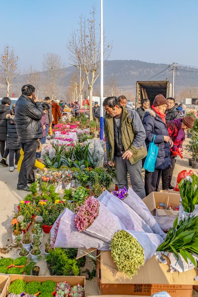 济南看景柳埠大集寻年味