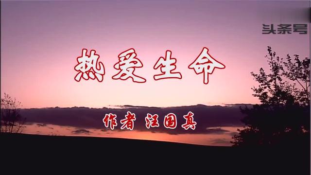 首推現代詩:汪國真的《熱愛生命》《感謝》《嫁給幸福》海子的《面朝