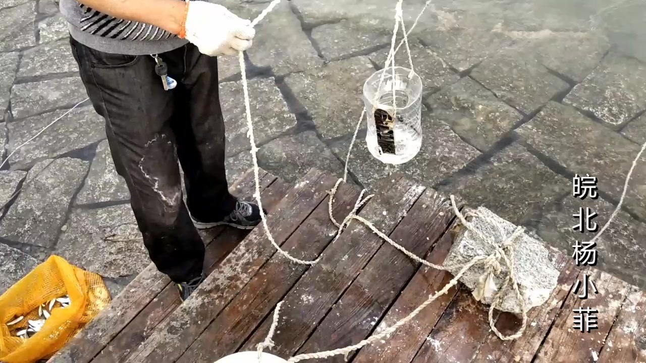 一个塑料桶也能抓到鱼自制的捕鱼神器抓起鱼来太简单了