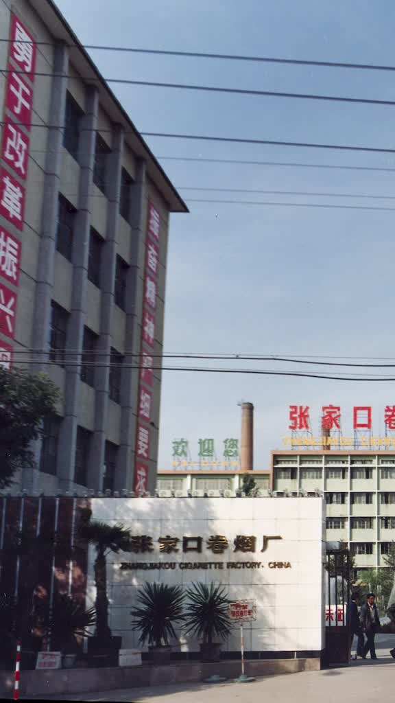 大洋建材引领现代建筑装饰新潮流