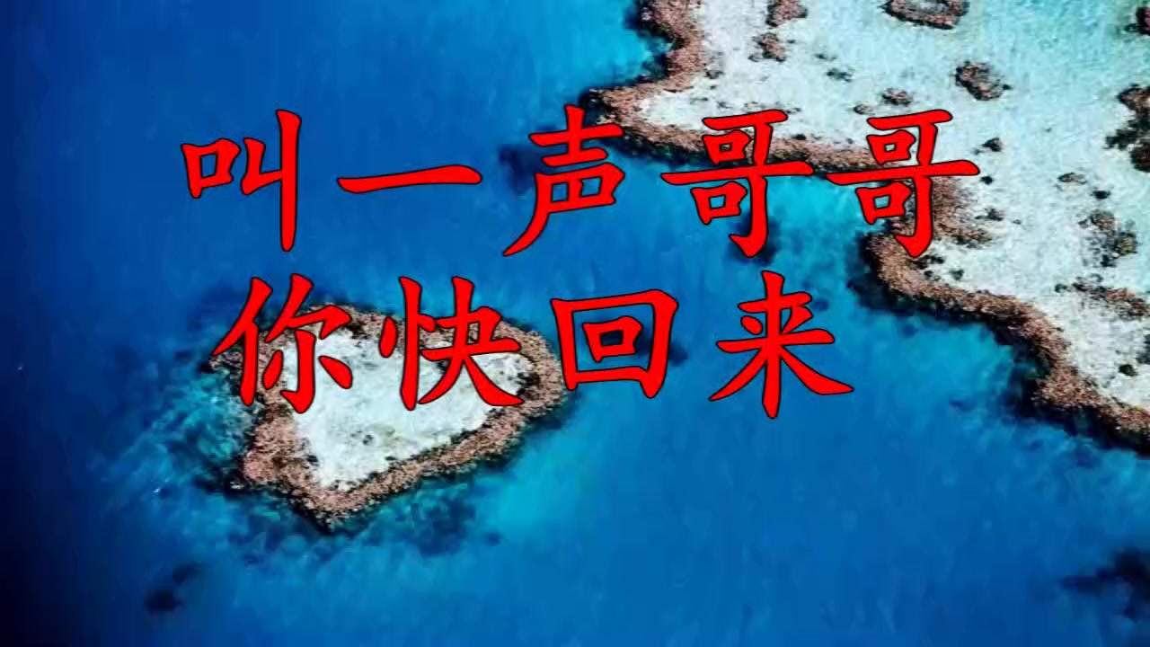 王二妮和老公唱这首《叫一声哥哥你快回来》阿宝听了激动起来伴舞