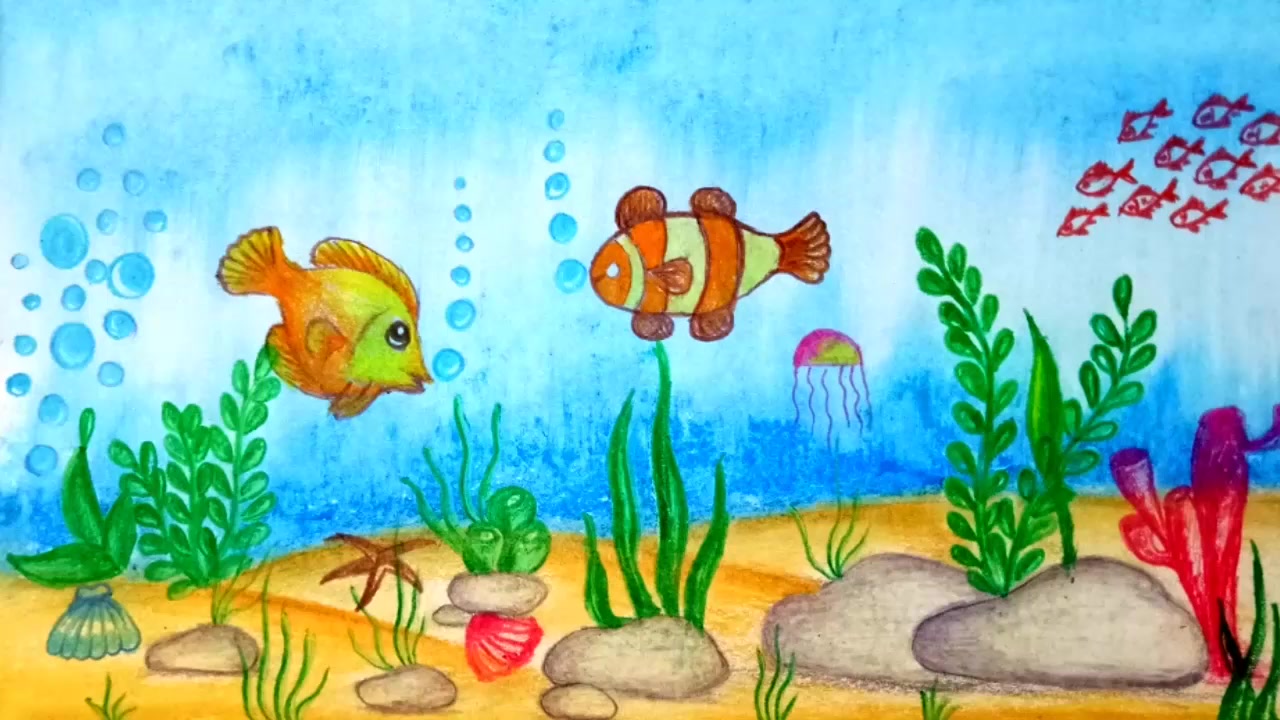 一组简单的海底世界教程用彩铅画画真方便简单好学