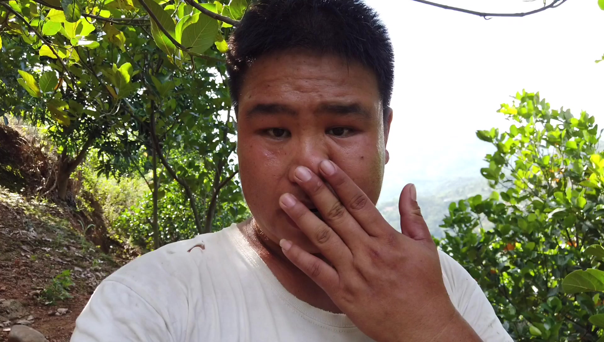 农村老李饭后去果园,逛一逛树上有没有熟菠萝蜜,弟弟也来帮忙 - 西瓜