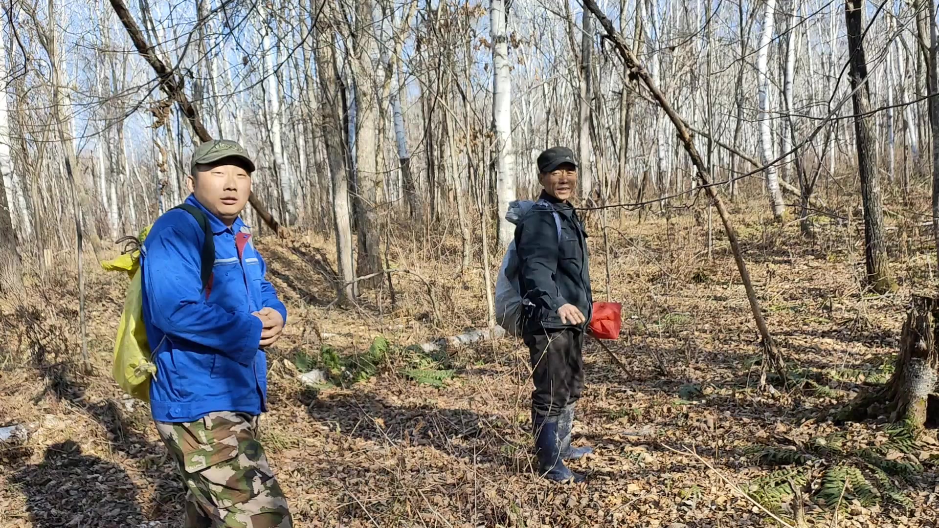 小刀跑山两年厉害了男生都得佩服刺老芽的姑娘这点随根啊