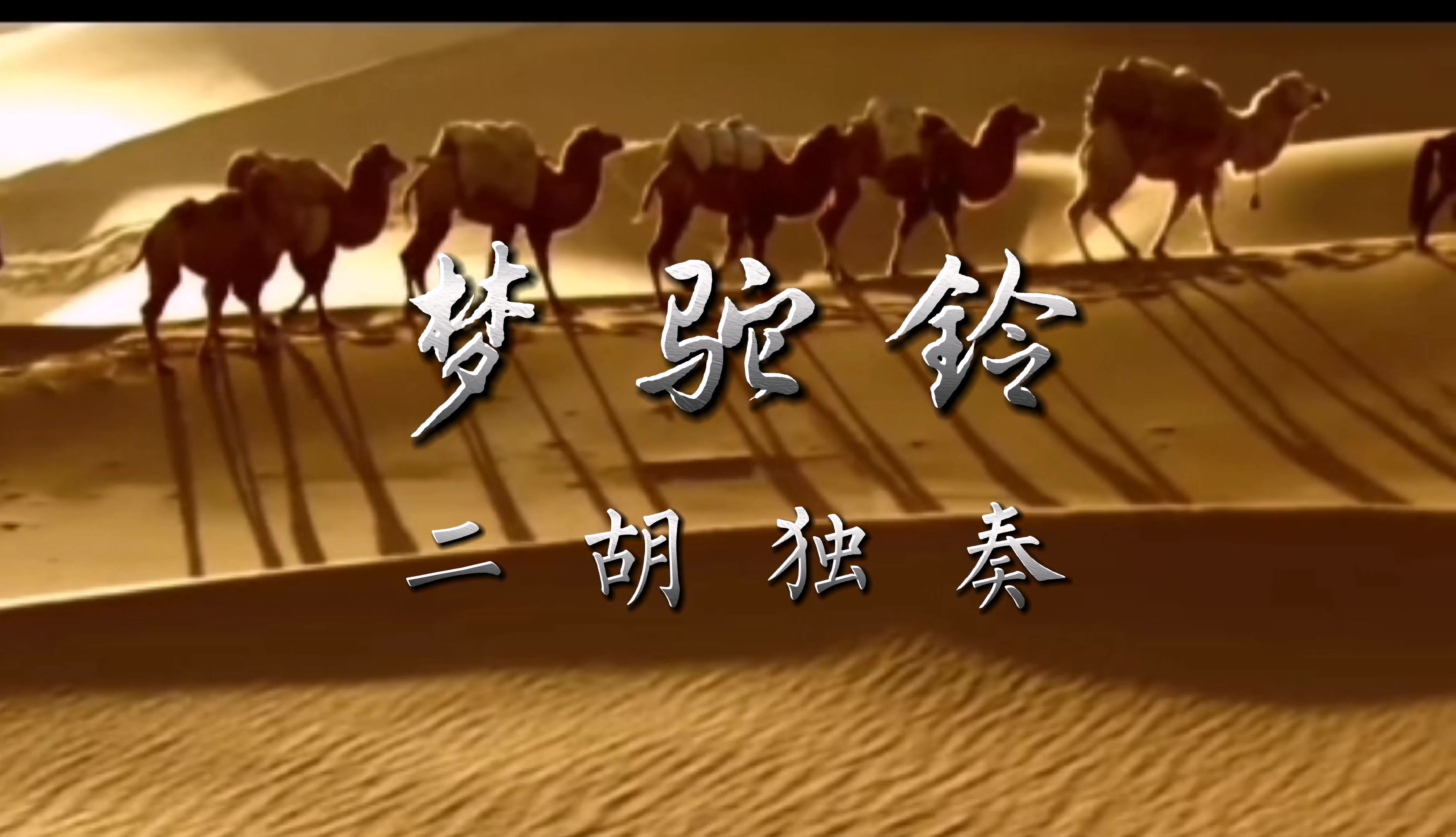 二胡独奏梦驼铃