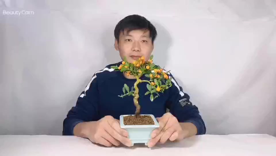 花友论坛里的春天