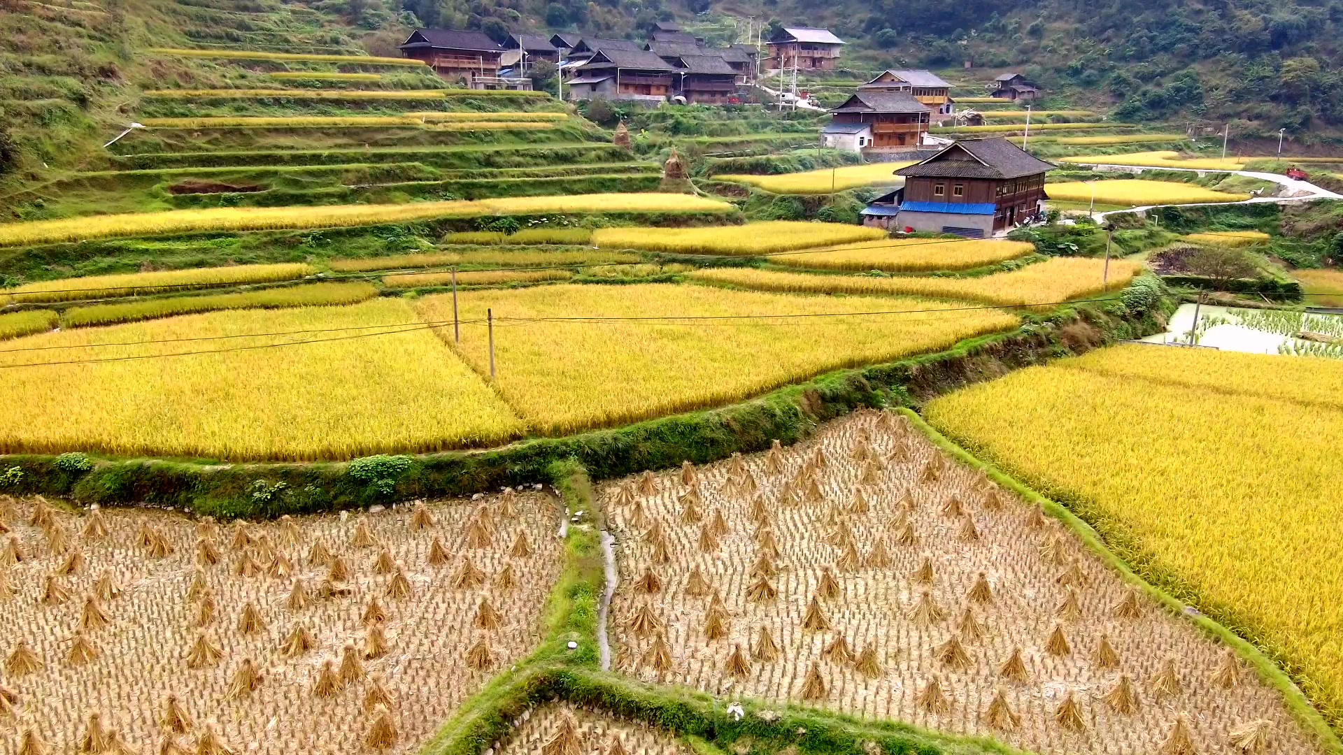 356国道边上的小村庄,好惬意的田园生活,终于不用羡慕瑞士了 - 西瓜