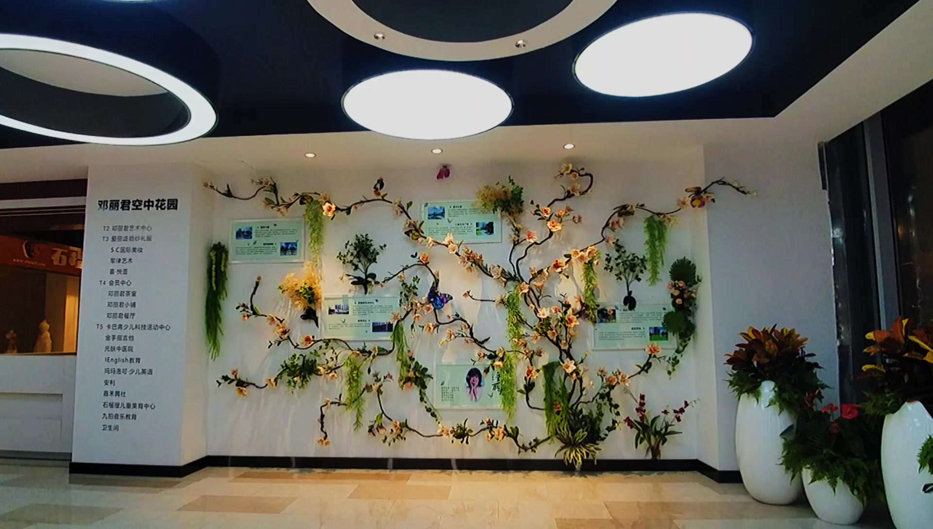 美乐城楼上邓丽君空中花园看看有多美还可以观赏邯郸城市风光