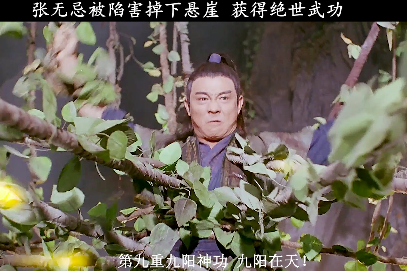 张无忌习得九阳神功开启外挂模式李连杰邱淑贞