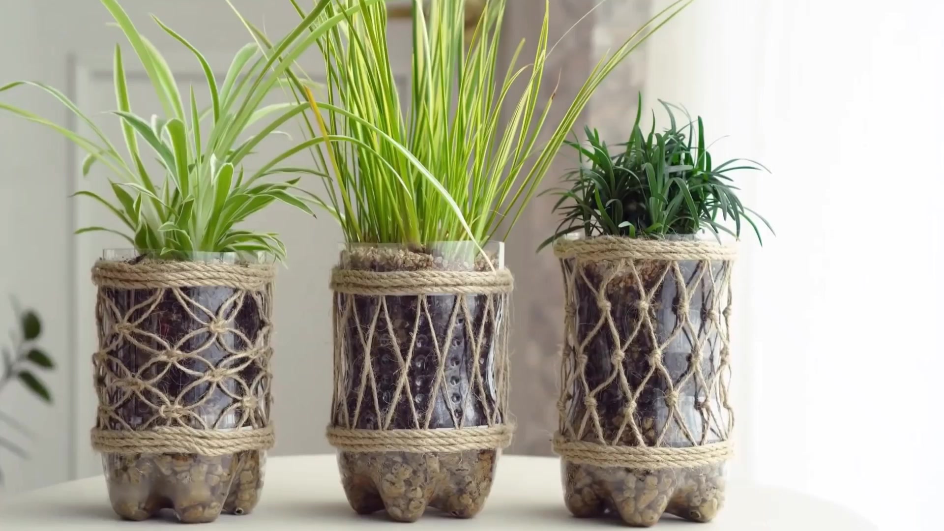 手工制作废旧矿泉水瓶制作精美花盆塑料瓶也能变成艺术品