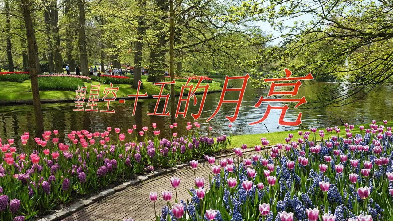 董文华阎维文合唱望星空十五的月亮让人陶醉