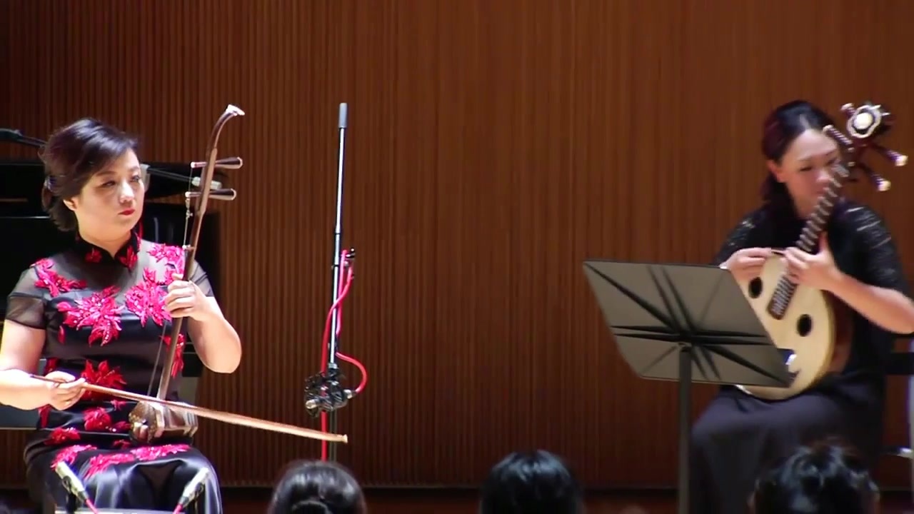 二胡演奏家王莉莉秦川谣难得一见的高水准现场音乐会