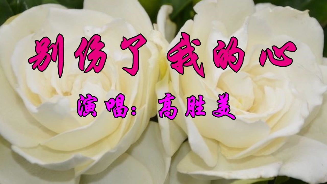 高胜美一首经典情歌《别伤了我的心》好听极了 - 西瓜视频