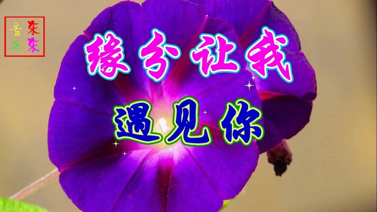 缘分让我遇见你每天都想你你是我今生的网络知己