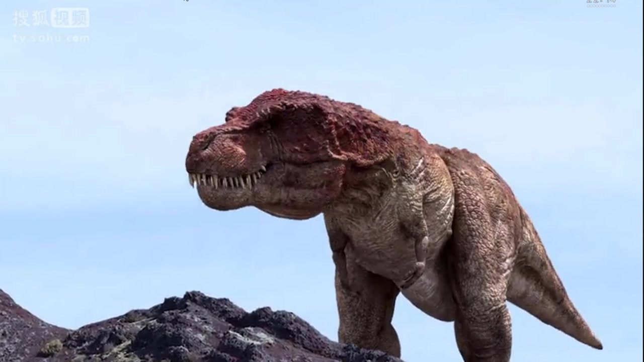 特暴龙历险记斑点暴龙长大后秒杀牛角龙单眼暴龙都害怕了