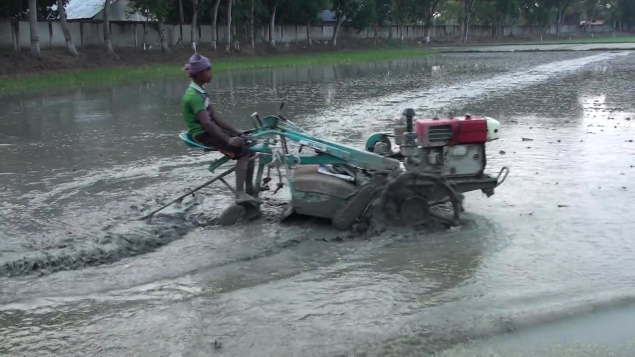 巴基斯坦农村小伙开手扶拖拉机打田农民种田不容易
