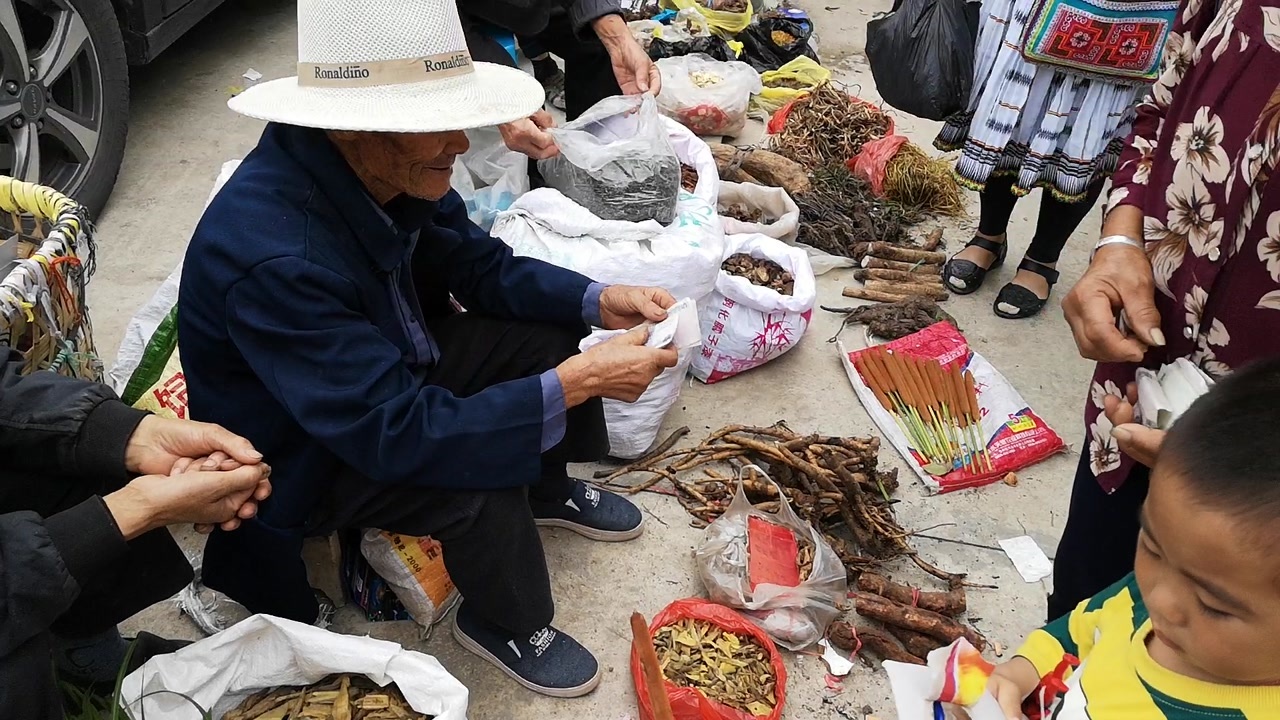 安顺的花鸟市场正好遇到周末赶场超热闹