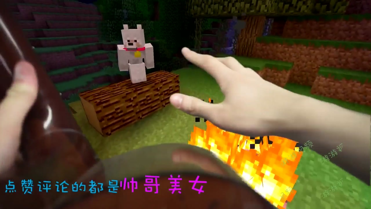 我的世界真人版史蒂夫与爱丽克丝夜间弹钢琴搞笑篇